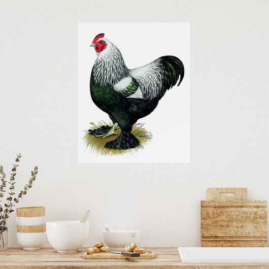 Brahma:  Dark Rooster Poster (Küche)