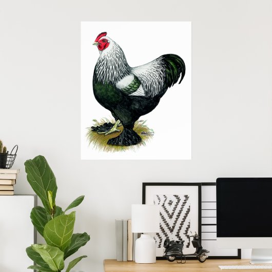 Brahma:  Dark Rooster Poster (Heimbüro)