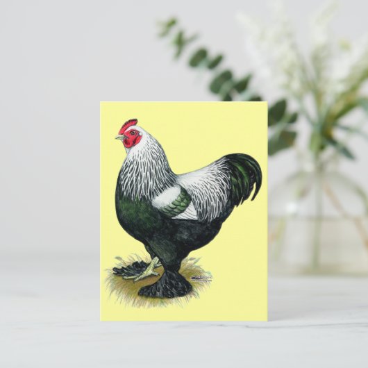 Brahma: Dark Rooster Postkarte (Stehend Vorderseite)