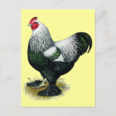 Brahma: Dark Rooster Postkarte (Vorderseite)