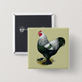 Brahma: Dunkle Liste Button (Vorne & Hinten)