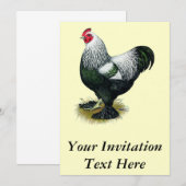 Brahma: Dunkle Liste Einladung (Vorne/Hinten)