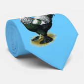 Brahma: Dunkle Liste Krawatte (Gerollt)