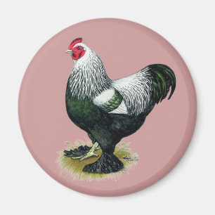Brahma: Dunkle Liste Magnet