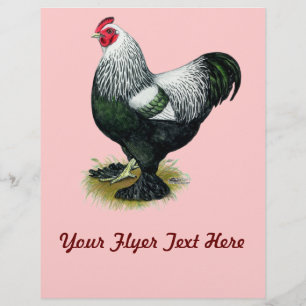 Brahma:  Dunkler Hahn Flyer