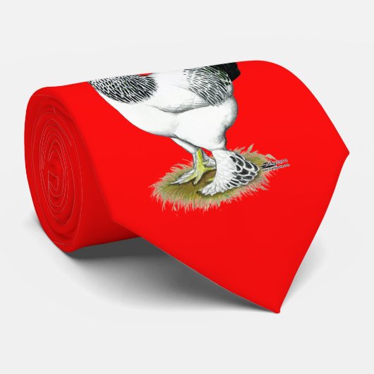 Brahma:  Heller Hahn Krawatte (Gerollt)