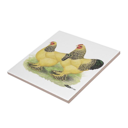 Brahma lederfarbene Paare Fliese (Seite)