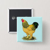 Brahma:  Lederfarbener Hahn Button (Vorne & Hinten)