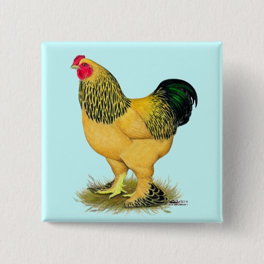 Brahma:  Lederfarbener Hahn Button (Vorderseite)