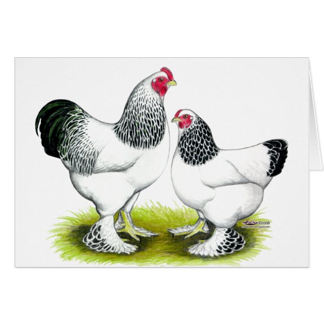 Brahma: Licht (Vorderseite (Horizontal))