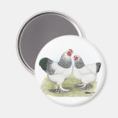 Brahma: Licht 2 Magnet (Vorderseite/Rückseite)