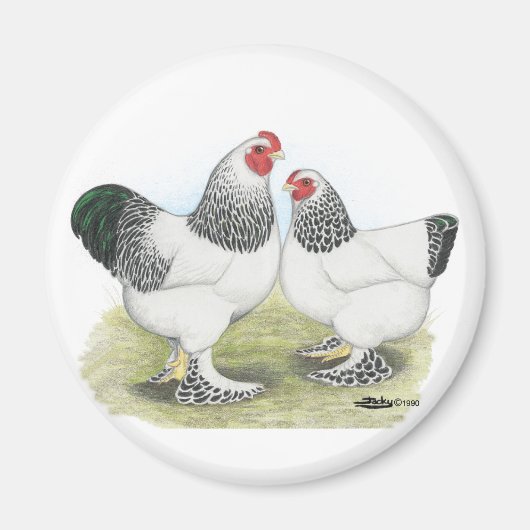 Brahma: Licht 2 Magnet (Vorne)