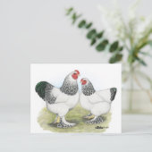 Brahma: Licht 2 Postkarte (Stehend Vorderseite)