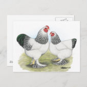 Brahma: Licht 2 Postkarte (Vorne/Hinten)