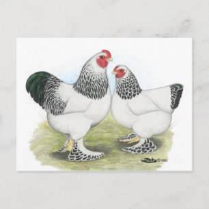 Brahma: Licht 2 Postkarte