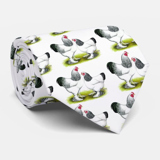 Brahma: Licht Krawatte (Gerollt)