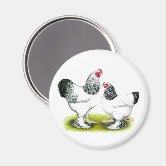 Brahma: Licht Magnet (Vorderseite/Rückseite)