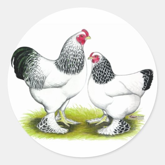 Brahma: Licht Runder Aufkleber (Vorderseite)