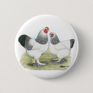 Brahma:  Light2 Button