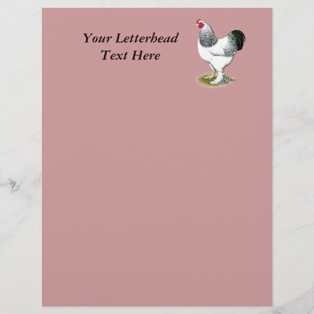 Brahma: Light Rooster (Vorderseite)