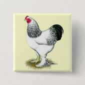 Brahma: Light Rooster Button (Vorderseite)