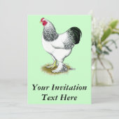 Brahma: Light Rooster Einladung (Stehend Vorderseite)