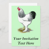 Brahma: Light Rooster Einladung (Vorne/Hinten)