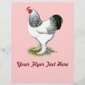 Brahma: Light Rooster Flyer (Vorne)