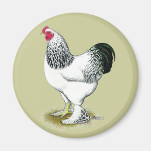 Brahma: Light Rooster Magnet