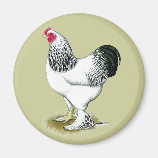 Brahma: Light Rooster Magnet (Vorne)