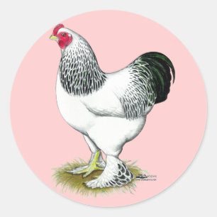 Brahma: Light Rooster Runder Aufkleber