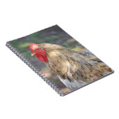 Brahma Rooster-Notebook Notizblock (Rechte Seite)