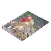 Brahma Rooster-Notebook Notizblock (Linke Seite)