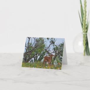 Brahman Calf in Wildblumen Dankeskarte