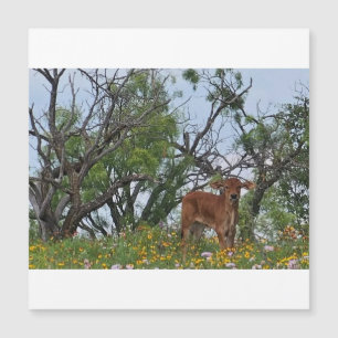 Brahman-Kalb in Wildblumen Magnetkarte