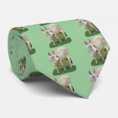 Brahman-Vieh Krawatte (Gerollt)