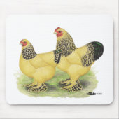 Brahmas: Buff Bantams Mousepad (Vorne)
