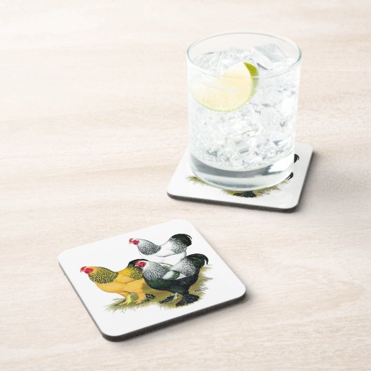 Brahmas drei Hähne Getränkeuntersetzer (Rechte Seite)