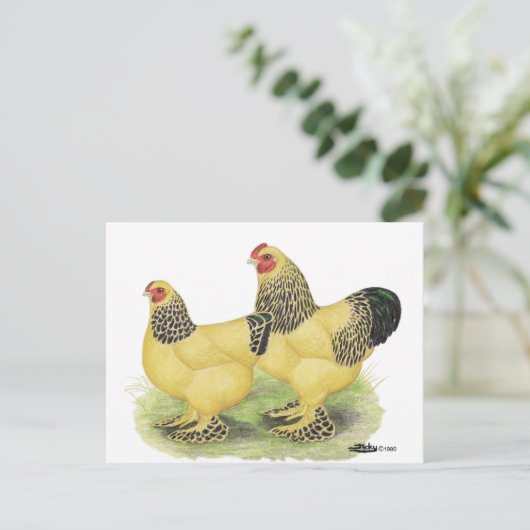 Brahmas:  Lederfarbene Zwerghühner Postkarte (Stehend Vorderseite)