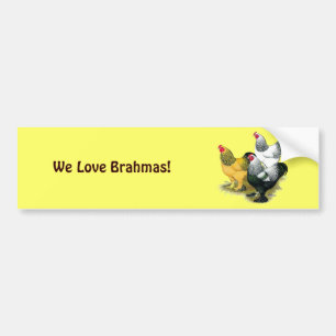 Brahmas Three Roosters Autoaufkleber