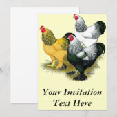 Brahmas Three Roosters Einladung (Vorne/Hinten)