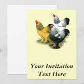 Brahmas Three Roosters Einladung (Vorne/Hinten)