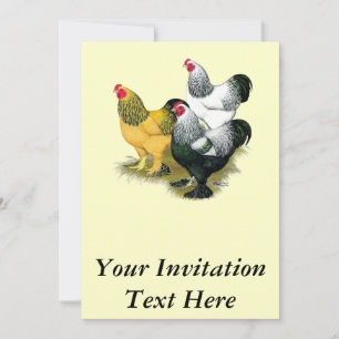 Brahmas Three Roosters Einladung