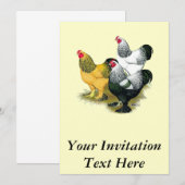 Brahmas Three Roosters Einladung (Vorne/Hinten)