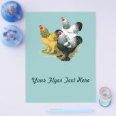 Brahmas Three Roosters Flyer (Einzeln)