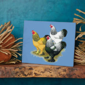 Brahmas Three Roosters Fotoplatte (Seite)
