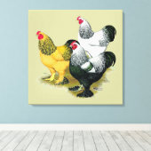 Brahmas Three Roosters Leinwanddruck (Insitu (Holzboden))