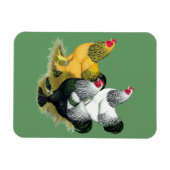 Brahmas Three Roosters Magnet (Horizontal)