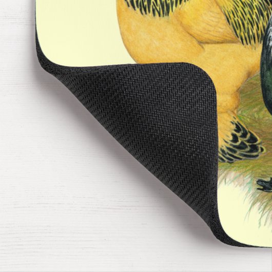 Brahmas Three Roosters Mousepad (Ecke)
