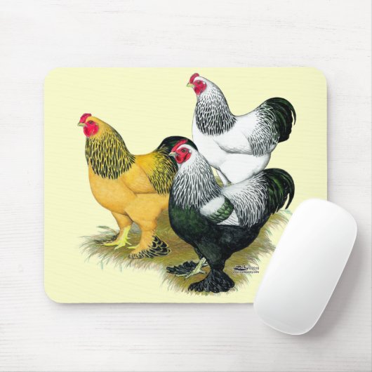 Brahmas Three Roosters Mousepad (Mit Mouse)